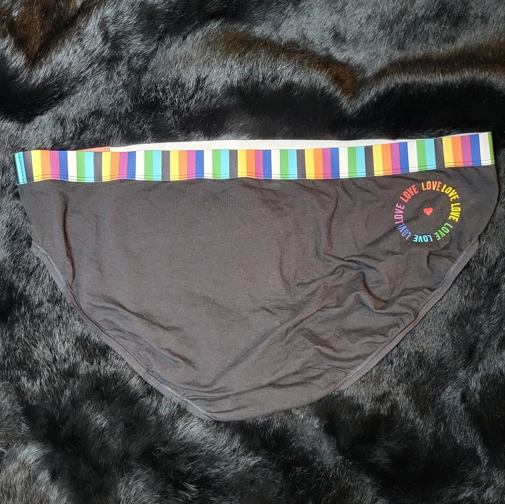 🩷 Women's Plus Rainbow 🌈 Love Cotton Hispter Undies NWT 2X or 18/20